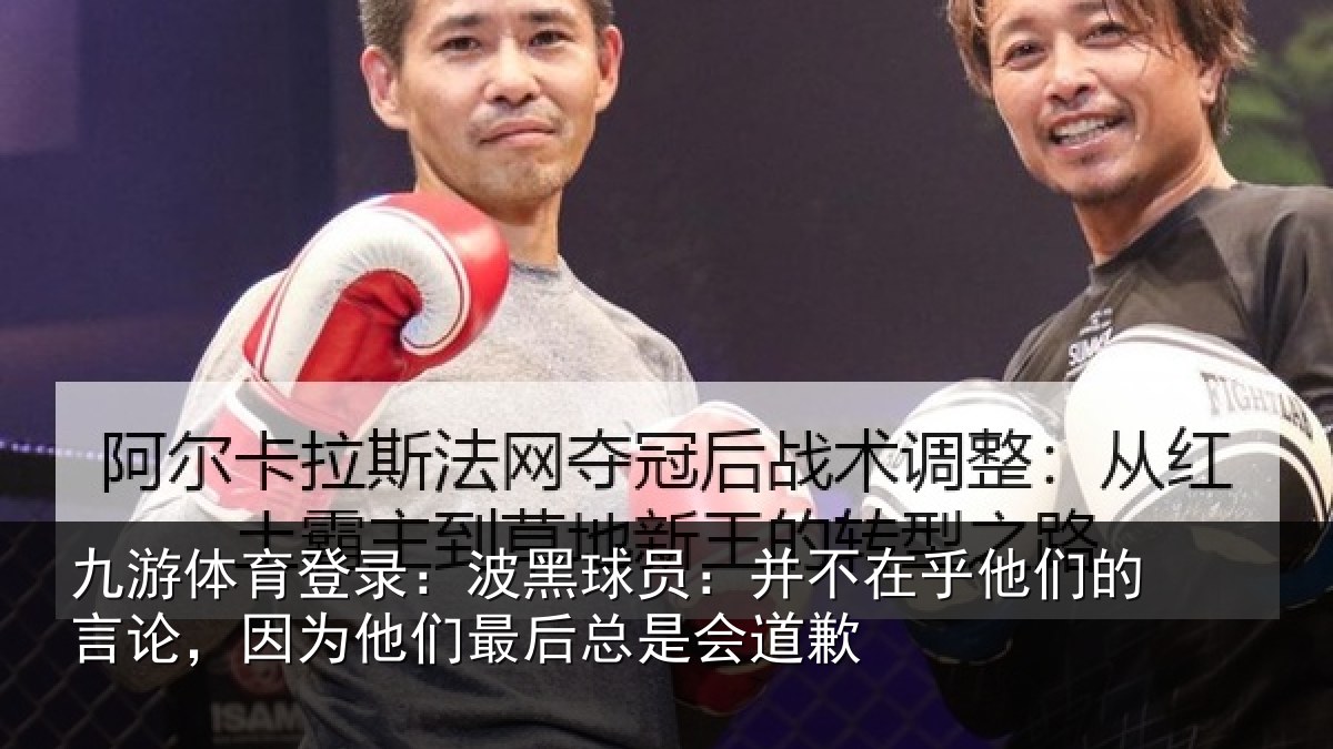 九游体育登录:波黑相关情况的言相关情况是会道歉
